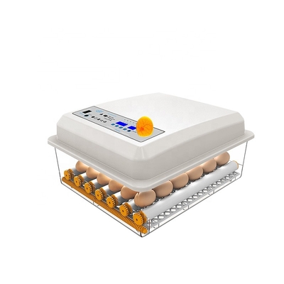 Bestselling Multifunctional Fully Automatic Mini Chick Incubator High Quality Poultry Hatching Zone